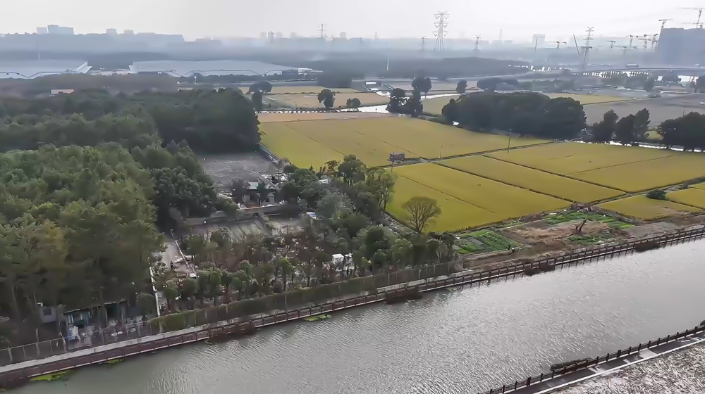 覆盖面积大 高效作业